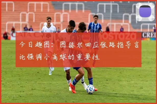 今日趣图：图赫尔回应张路指导言论强调小高球的重要性