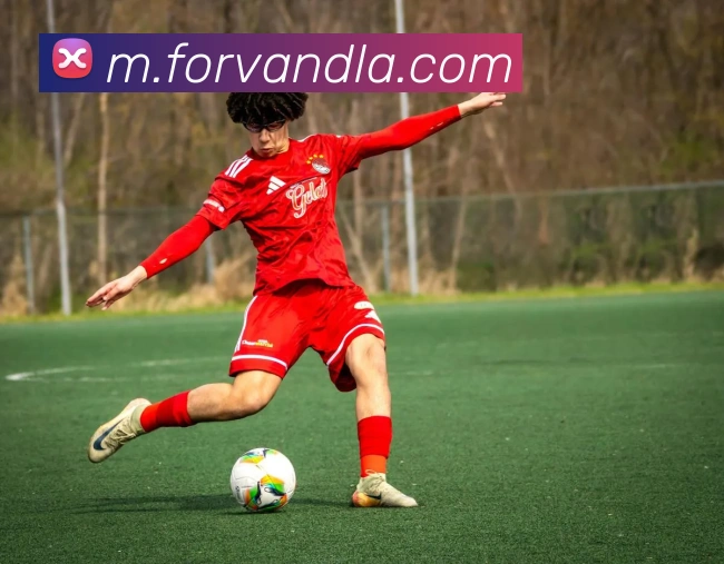 milan体育官网APP 封面图